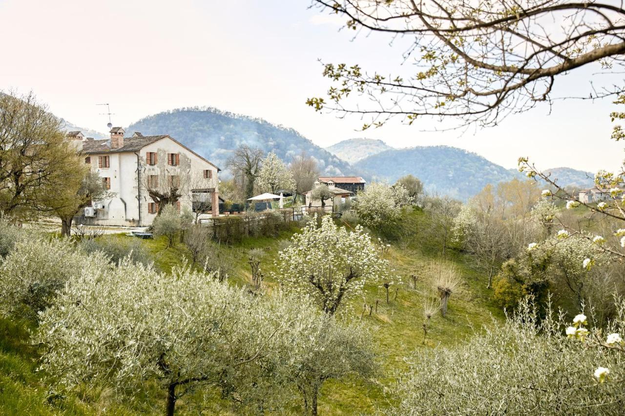 Asolo Norah'S Hill Agri Rooms Monfumo Extérieur photo