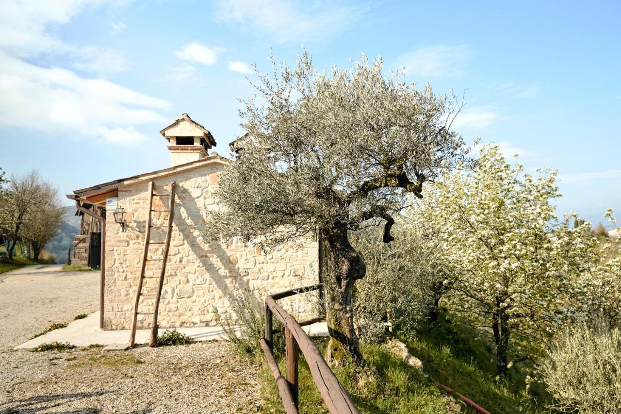 Asolo Norah'S Hill Agri Rooms Monfumo Extérieur photo