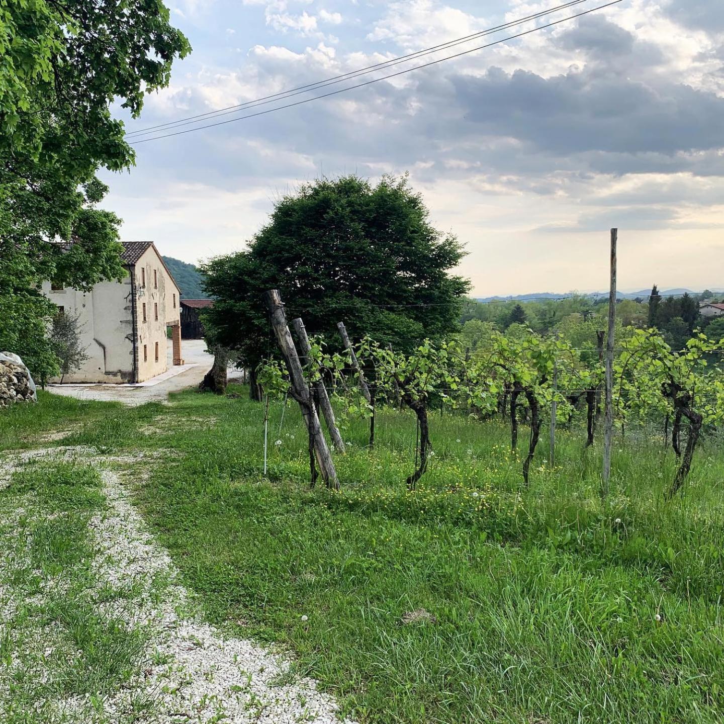 Asolo Norah'S Hill Agri Rooms Monfumo Extérieur photo